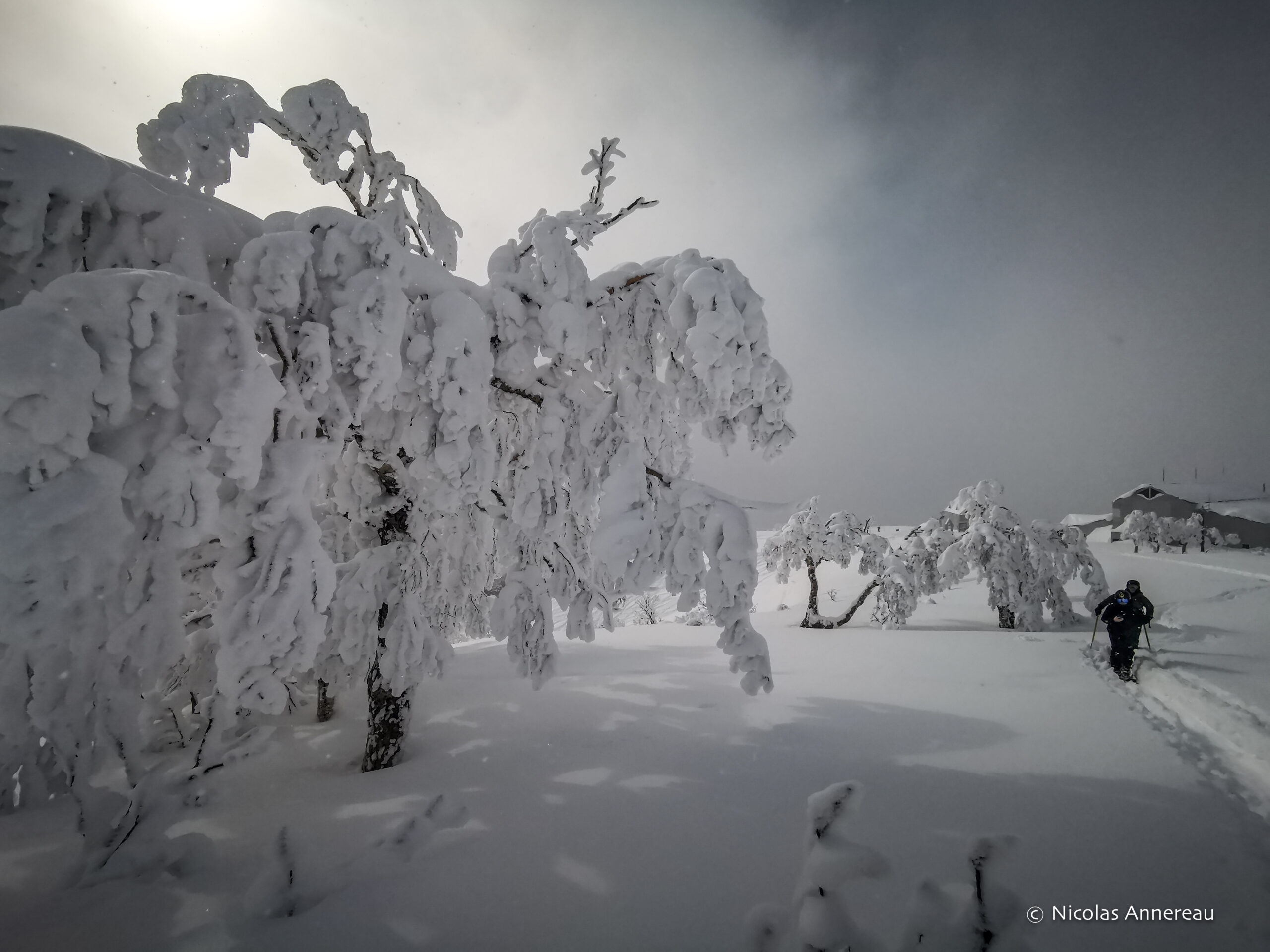 ski au Japon